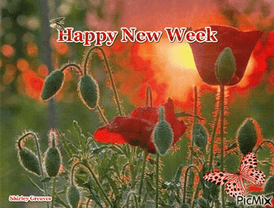 A Picture Of Flowers With A Happy New Week Message GIF