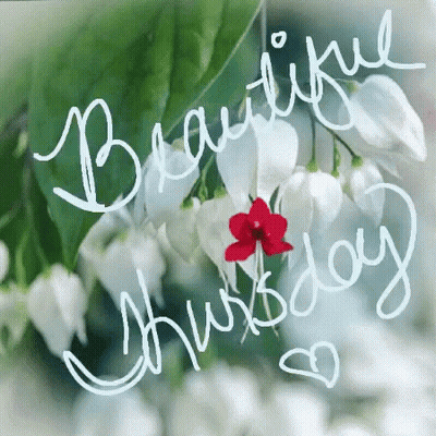 A Picture Of Flowers With The Words Beautiful Thursday Written On It . GIF