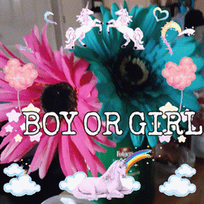 A Picture Of Flowers With The Words Boy Or Girl GIF