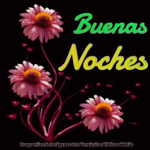 A Picture Of Flowers With The Words Buenas Noches GIF