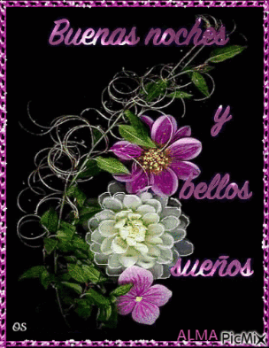 A Picture Of Flowers With The Words Buenas Noches Y Bellos Suenos On It GIF