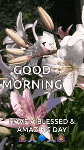 A Picture Of Flowers With The Words Good Morning Have A Blessed And Amazing Day Written On It GIF