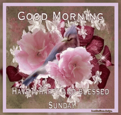 A Picture Of Flowers With The Words Good Morning Have A Happy And Blessed Sunday On It GIF