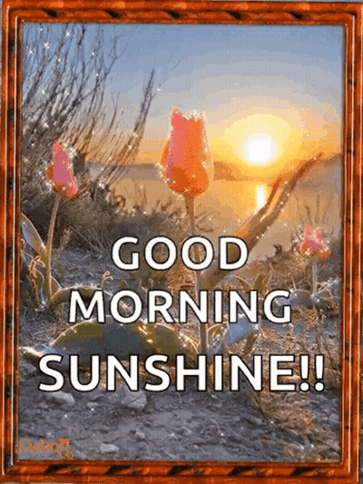 A Picture Of Flowers With The Words Good Morning Sunshine Written On It GIF