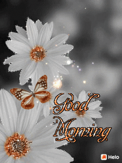 A Picture Of Flowers With The Words Good Morning GIF