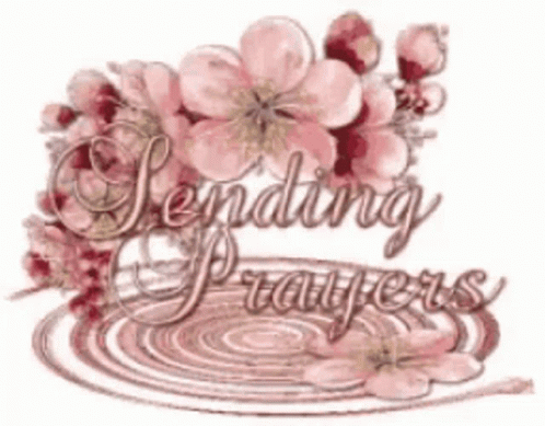A Picture Of Flowers With The Words Sending Prayers GIF