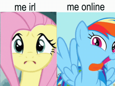 A Picture Of Fluttershy And Rainbow Dash With The Words Me Irl And Me Online Below Them GIF