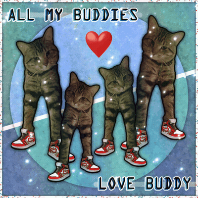 A Picture Of Four Cats Wearing Nike Shoes With The Words All My Buddies Love Buddy GIF