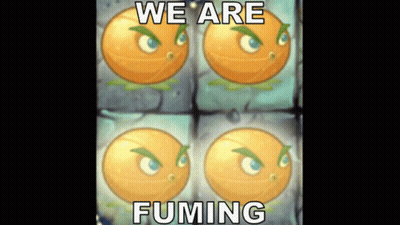 A Picture Of Four Oranges With The Words We Are Fuming GIF