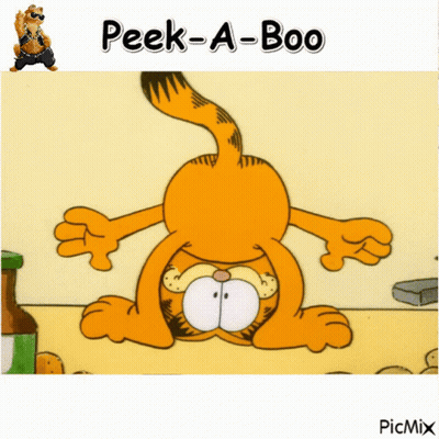 A Picture Of Garfield With The Words Peek-A-Boo GIF
