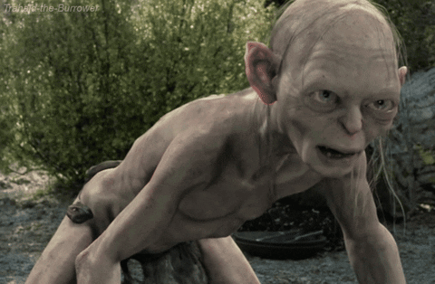 A Picture Of Gollum From The Lord Of The Rings With A Caption That Says " The Hobbit The Burrowet " GIF
