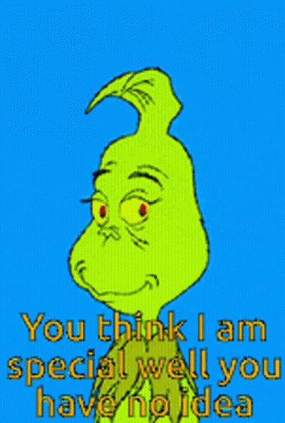 A Picture Of Grinch With The Words You Think I Am Special Well You Have No Idea GIF