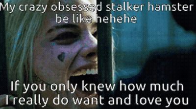 A Picture Of Harley Quinn With The Caption My Crazy Obsessed Stalker Hamster Be Like Hene GIF