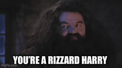 A Picture Of Harry Potter With The Words You 'Re A Rizzard Harry GIF
