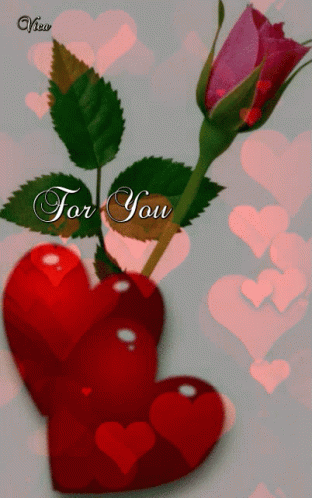 A Picture Of Hearts And A Rose With The Words For You GIF