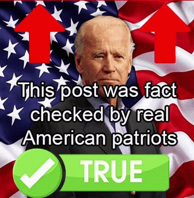 A Picture Of Joe Biden With The Caption " This Post Was Fact Checked By Real American Patriots True " GIF