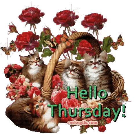 A Picture Of Kittens In A Basket With Flowers And The Words Hello Thursday Sticker