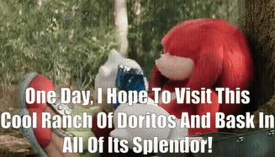 A Picture Of Knuckles And Sonic With The Caption One Day I Hope To Visit This Cool Ranch Of Doritos And Bask In GIF