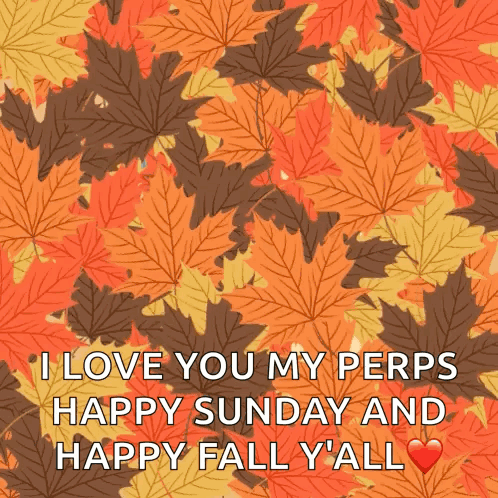 A Picture Of Leaves That Says I Love You My Pers Happy Sunday And Happy Fall Y'all GIF