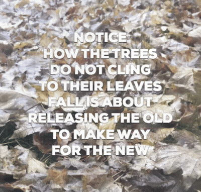 A Picture Of Leaves With A Quote Notice How The Trees Do Not Cling To Their Leaves GIF