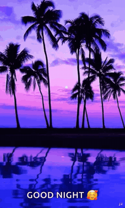A Picture Of Palm Trees At Sunset With The Words Good Night GIF