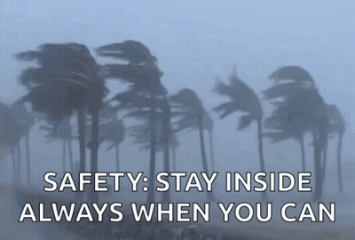 A Picture Of Palm Trees Blowing In The Wind With The Words " Safety Stay Inside Always When You Can " GIF