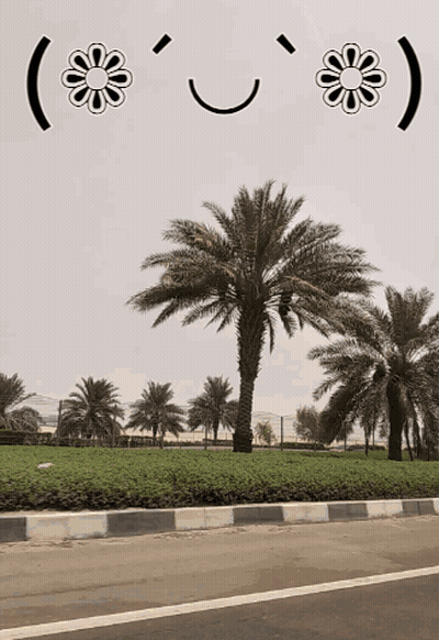 A Picture Of Palm Trees With A Smiley Face And Flowers GIF