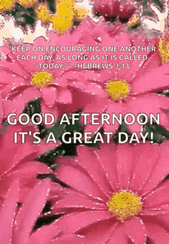 A Picture Of Pink Flowers With A Quote From Hebrews 3:13 On It GIF