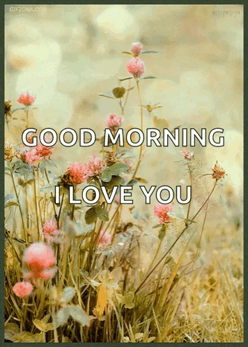 A Picture Of Pink Flowers With The Words Good Morning I Love You GIF