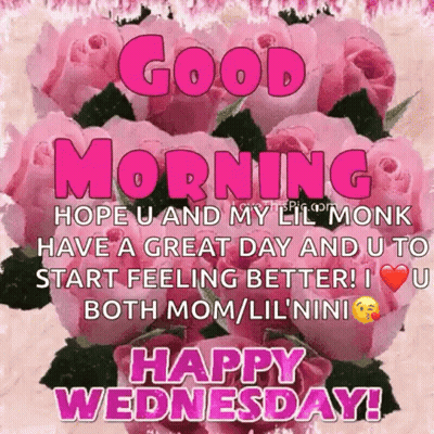 A Picture Of Pink Roses That Says Good Morning Hope U And My Lil Monk Have A Great Day And U To Start Feeling Better ! GIF