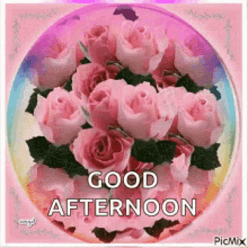 A Picture Of Pink Roses With The Words `` Good Afternoon '' Written On It GIF