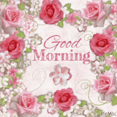 A Picture Of Pink Roses With The Words Good Morning GIF