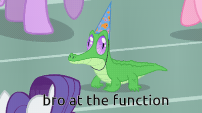 A Picture Of Ponies With The Words Bro At The Function GIF