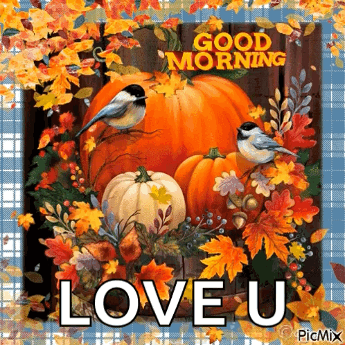 A Picture Of Pumpkins And Leaves With The Words Good Morning Love U On It . GIF