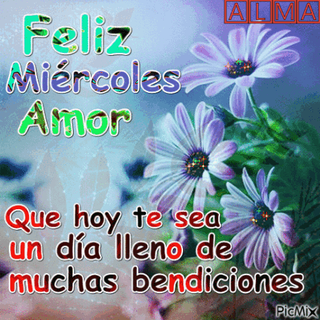 A Picture Of Purple Daisies With The Words Feliz Miercoles Amor GIF