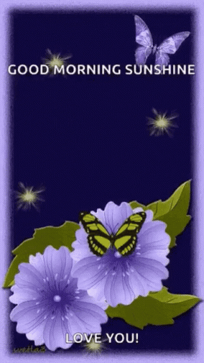 A Picture Of Purple Flowers And Butterflies With The Words Good Morning Sunshine GIF