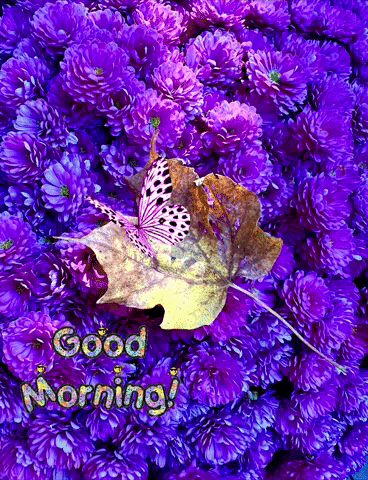 A Picture Of Purple Flowers With The Words Good Morning Written On It GIF
