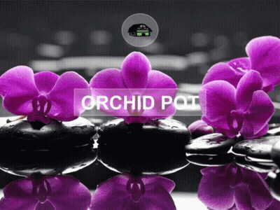 A Picture Of Purple Orchids And Black Rocks With The Words Orchid Pot Below Them GIF