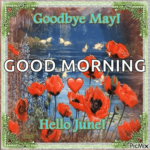 A Picture Of Red Flowers With The Words Goodbye May Good Morning And Hello June GIF