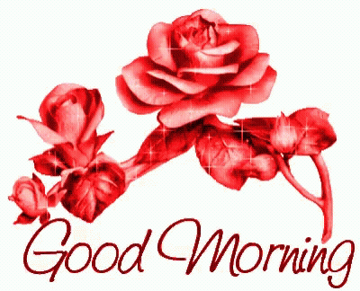 A Picture Of Red Roses With The Words Good Morning Below It GIF