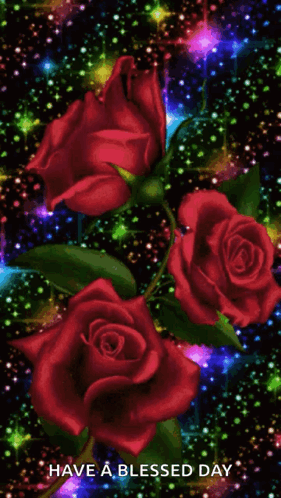 A Picture Of Red Roses With The Words Have A Blessed Day GIF