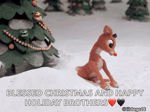 A Picture Of Rudolph The Red Nosed Reindeer With The Words Blessed Christmas And Happy Holiday Brothers Below It GIF
