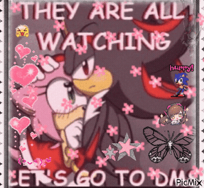 A Picture Of Shadow The Hedgehog And Amy Rose With The Caption " They Are All Watching Let 'S Go To Day " GIF
