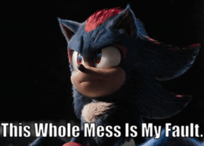 A Picture Of Shadow The Hedgehog From Sonic The Hedgehog With The Caption This Whole Mess Is My Fault GIF