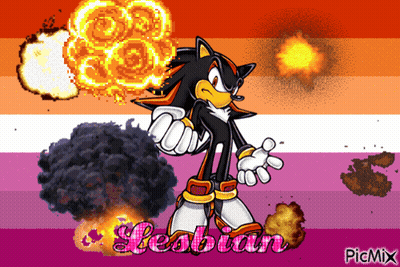 A Picture Of Shadow The Hedgehog Holding A Bomb With The Word Lesbian On The Bottom GIF