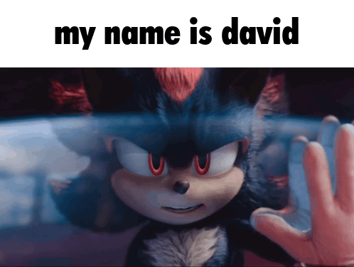 A Picture Of Shadow The Hedgehog With The Words My Name Is David Below It GIF
