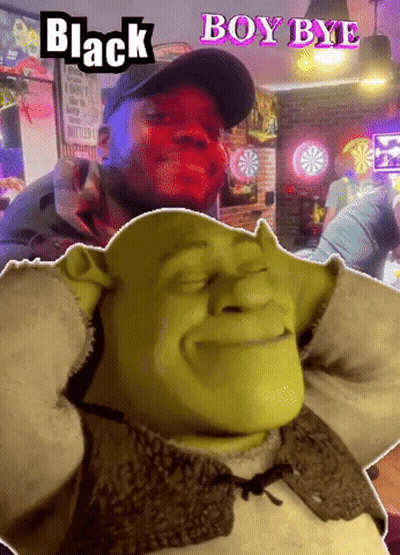 A Picture Of Shrek With The Words Black Boy Bye Written Above Him GIF