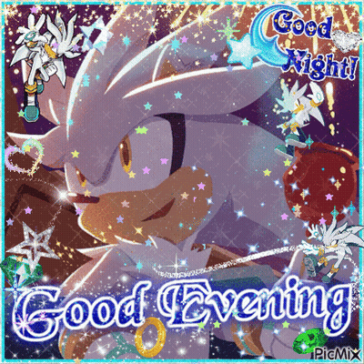 A Picture Of Silver The Hedgehog With The Words Good Evening On The Bottom GIF