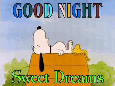 A Picture Of Snoopy And Woodstock Saying Good Night GIF