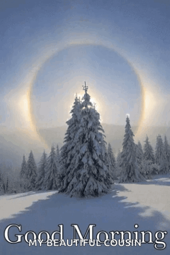 A Picture Of Snow Covered Trees With The Words Good Morning My Beautiful Cousin GIF